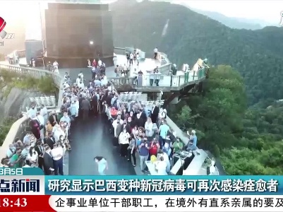 研究显示巴西变种新冠病毒可再次感染痊愈者