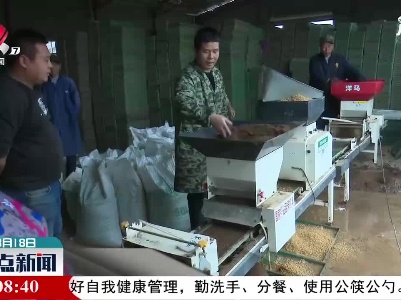 宜春上高：26万亩早稻育秧忙