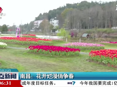 南昌：花开烂漫俏争春