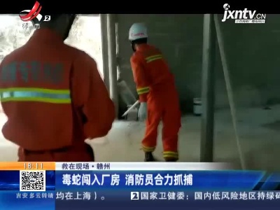 【救在现场】赣州：毒蛇闯入厂房 消防员合力抓捕