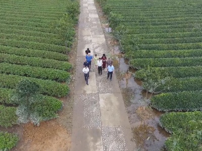 时政现场说丨“科特派”是什么派