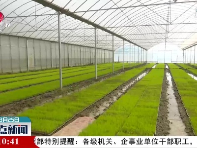 【毫不放松 抓好春季农业生产】丰城：水稻育秧进行时 农技服务解难题