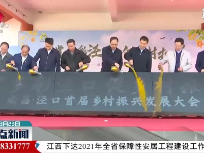 南昌县泾口乡举行首届乡村振兴发展大会