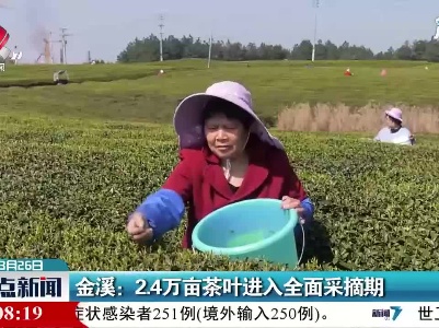 金溪：2.4万亩茶叶进入全面采摘期
