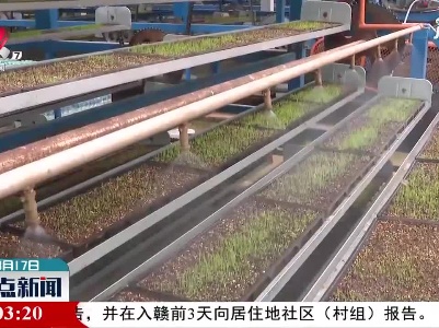 吉水：智能育秧助力春耕生产