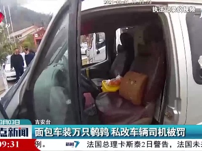 昌宁高速：面包车装万只鹌鹑 私改车辆司机被罚