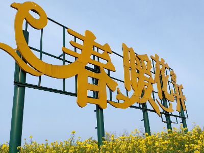 二月初二龙抬头　踏青赏花挖野菜