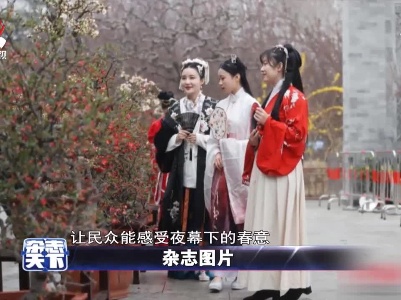 海棠春花文化季