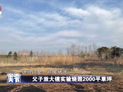 父子放大镜实验烧毁2000平草坪