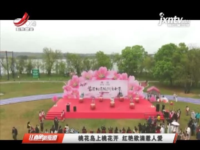 吉安吉水：桃花岛上桃花开 红艳欲滴惹人爱