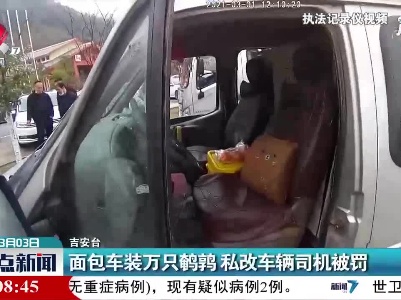 吉安：面包车装万只鹌鹑 私改车辆司机被罚