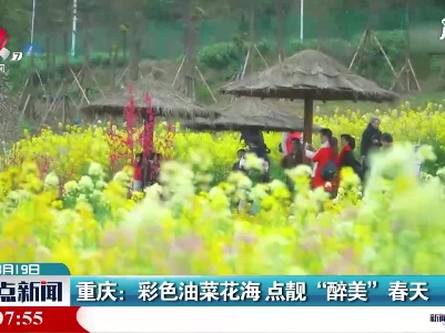 重庆：彩色油菜花海 点靓“醉美”春天