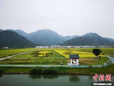 “数字乡村”有多火？听代表委员们说……