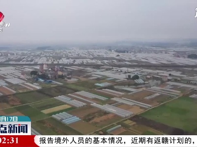 整点新闻20210317 14:00