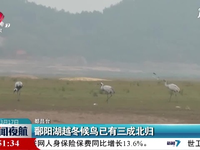 都昌：鄱阳湖越冬候鸟已有三成北归