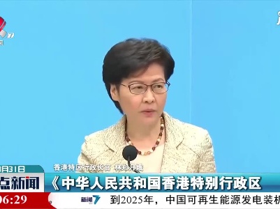 林郑月娥：坚定支持全国人大常委会修订香港基本法附件一和附件二