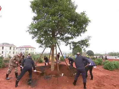 刘奇易炼红等省领导参加义务植树活动