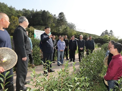 潮头观澜丨这项制度，总书记要求继续坚持
