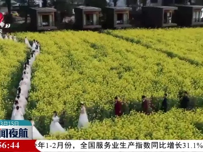 婺源：油菜花田上演时装秀