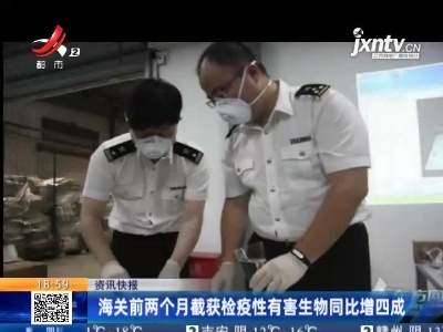 海关2021年前两个月截获检疫性有害生物同比增四成