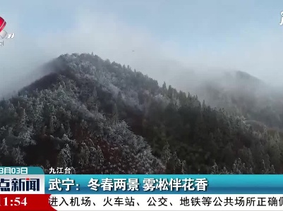 武宁：冬春两景 雾凇伴花香