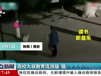 陕西西安·高校大叔教育流浪猫 猫：？？？