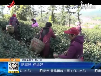 【赣闻天下】九江庐山：明前茶集中采摘了！