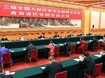 习近平：依法治国基础在基层