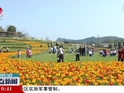整点新闻20210315 12:00