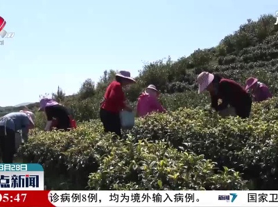整点新闻20210328 14:00