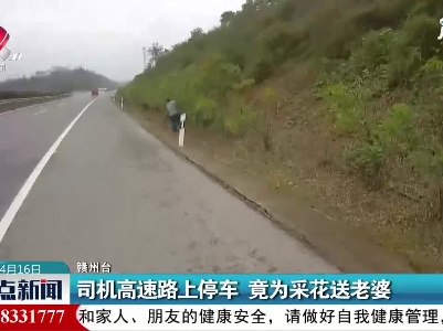 赣州：司机高速路上停车竟为采花送老婆