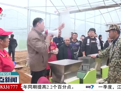 宜春：推广水稻大钵体毯状苗机插秧技术 助力粮食稳产