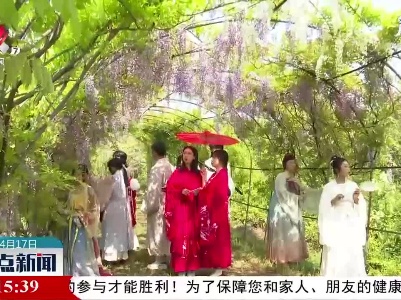 武宁花源谷：盛花紫藤 飘逸唯美