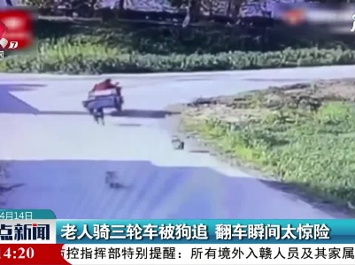 江苏：老人骑三轮车被狗追 翻车瞬间太惊险