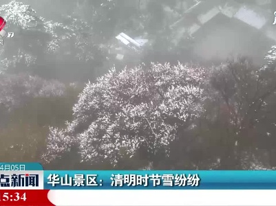 华山景区：清明时节雪纷纷