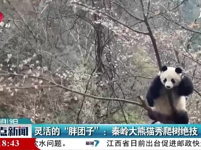 灵活的