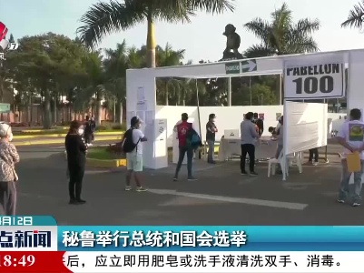 秘鲁举行总统和国会选举