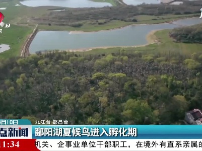 鄱阳湖夏候鸟进入孵化期