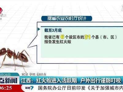 江西：红火蚁进入活跃期 户外出行谨防叮咬