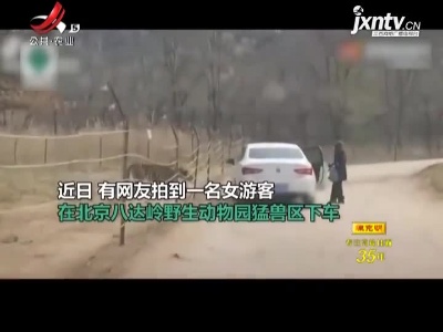 北京：女子动物园猛兽区下车 人虎仅4米！