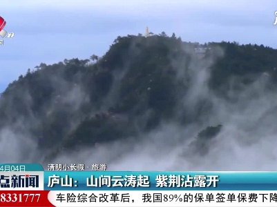 【清明小长假·旅游】庐山：山间云涛起 紫荆沾露开