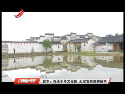 宜丰：传承千年文化脉 天宝古村深耕研学