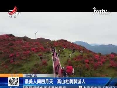 抚州广昌：最美人间四月天 高山杜鹃醉游人