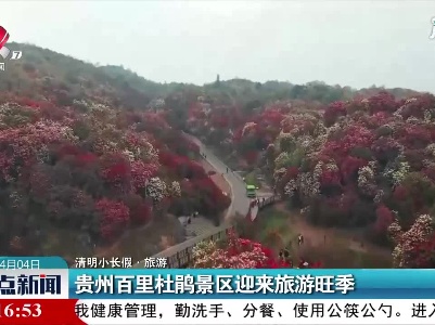 【清明小长假·旅游】贵州百里杜鹃景区迎来旅游旺季