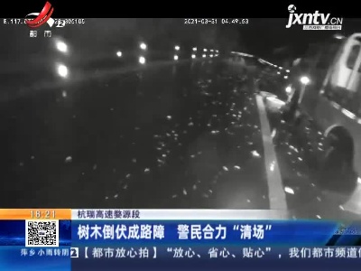 杭瑞高速婺源段：树木倒伏成路障 警民合力“清场”