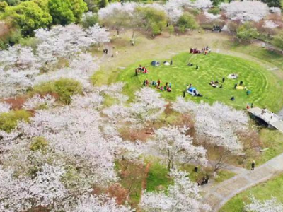 南昌县：用真金白银绘出大美昌南全域旅游新画卷