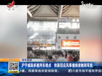 沪宁城际多趟列车晚点 铁路回应风筝缠绕接触网导致