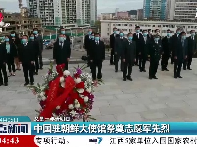 【又是一年清明日】中国驻朝鲜大使馆祭奠志愿军先烈