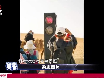 甘肃：“骆驼红绿灯”