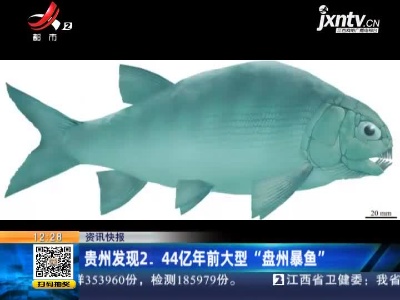 贵州发现2.44亿年前大型“盘州暴鱼”